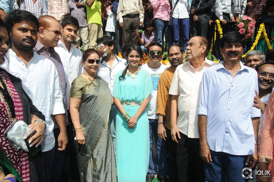 Senior-Naresh-Son-Debut-Movie-Launch-By-Mahesh-Babu